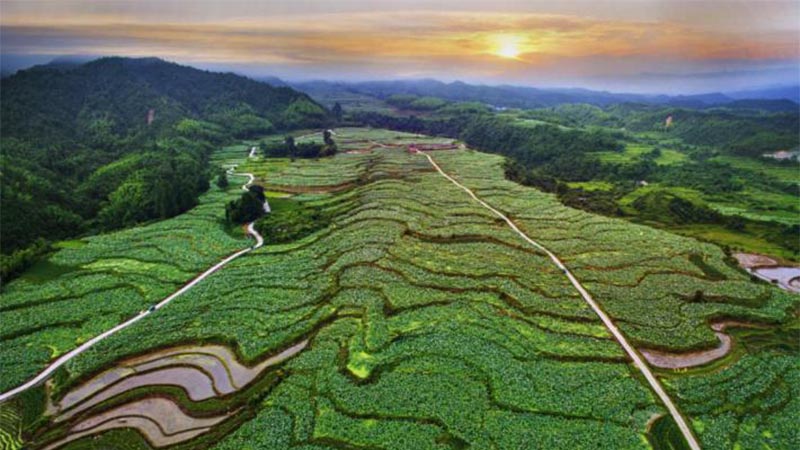 科技助力，農(nóng)旅結(jié)合 紅色老區(qū)建寧“綠色崛起”