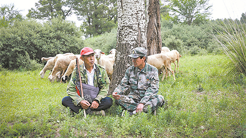 高清大圖｜塞北荒山，老兵播種“綠色夢(mèng)”