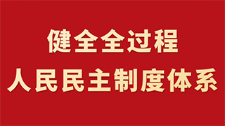 長(zhǎng)圖解碼丨健全全過程人民民主制度體系